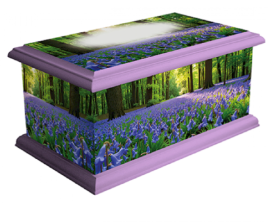 Bluebell Wood Casket