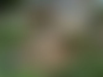 Caminho mais curto entre Jardim Alzira e Eldorado