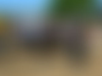 Japeri abre inscrições para curso de formação de agentes em sanidade animal