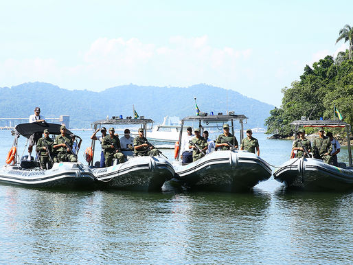 Força-tarefa contra desmatamento em ilha de Itaguaí