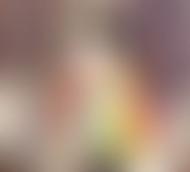 TopShopping realiza 4ª Feira de Adoção de Cães