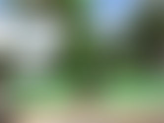 Japeri terá Dia D contra gripe Influenza H1N1 no dia 4 de maio