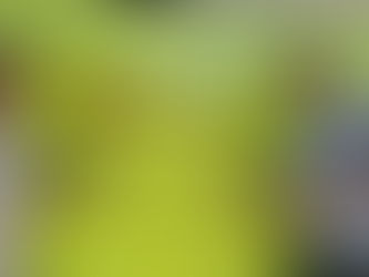 Miguel Couto ganha espaço cultural