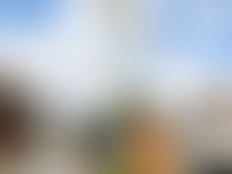 Moradores doam mudas para arborizar Itaguaí