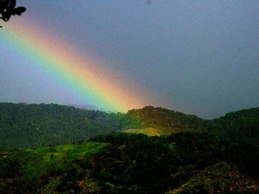 Magé ganha apoio internacional na construção do plano municipal de conservação da Mata Atlântica