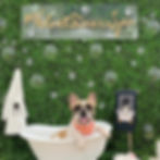 Frenchie