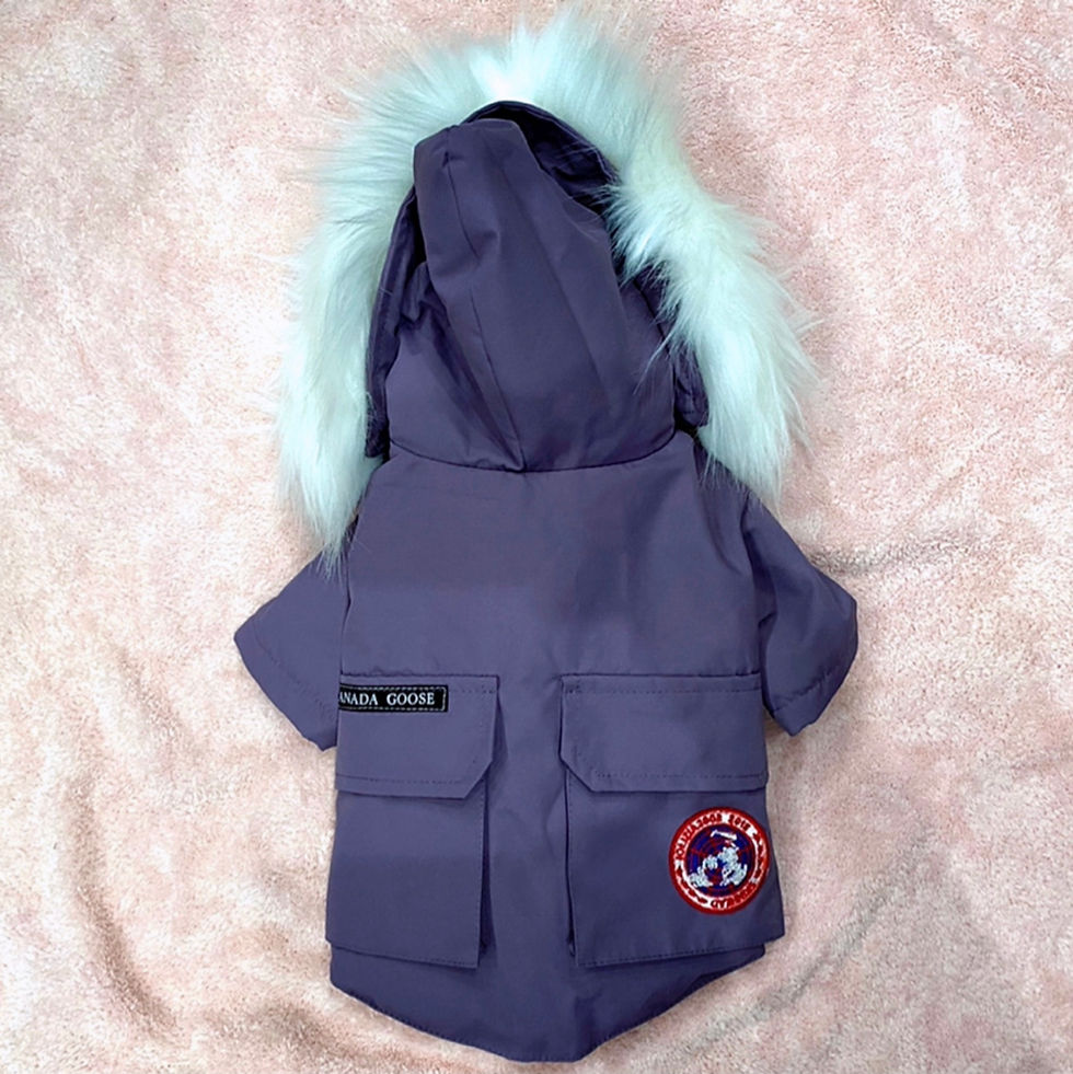 Thumbnail: Canada Pooch Fur Trim Parka