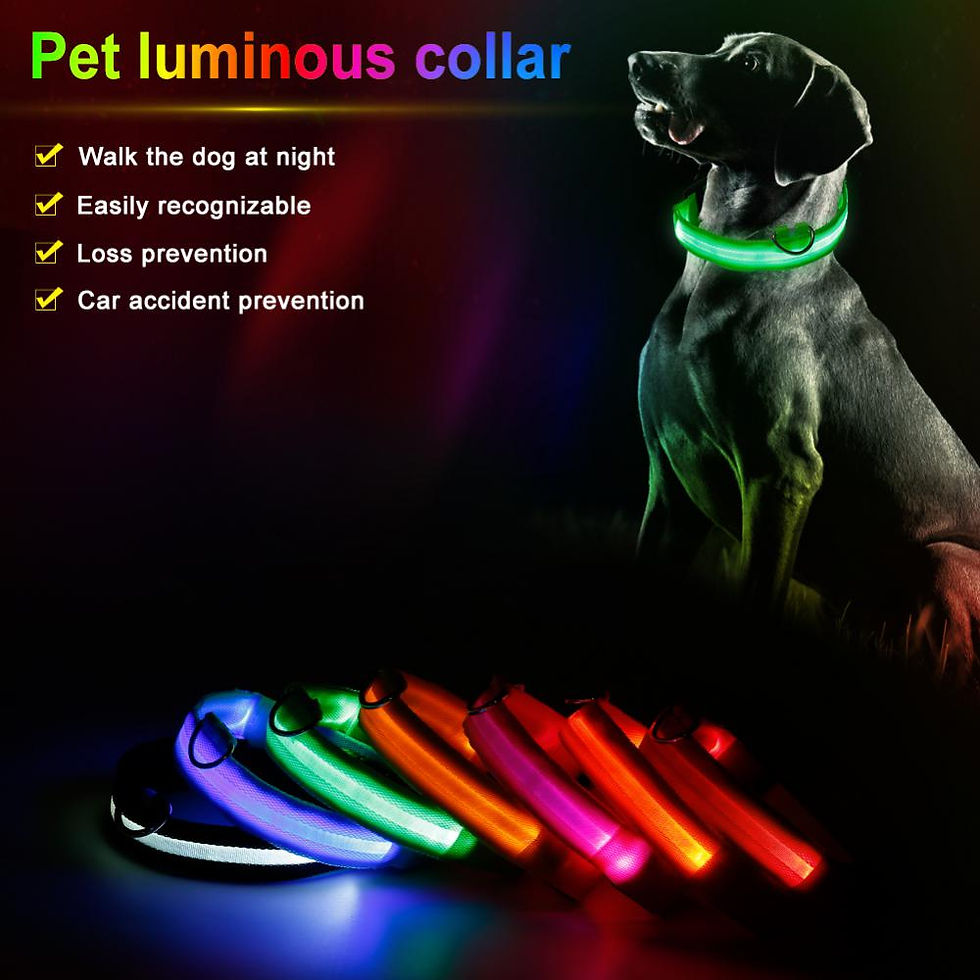 Miniature : Flashing Nylon Dog Collar 