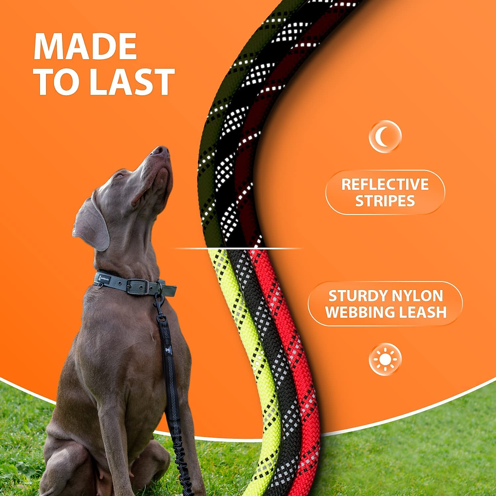 Miniature : Heavy Duty Rope Bungee Leash for Large and Medium Dogs with Anti-Pull for Shock 