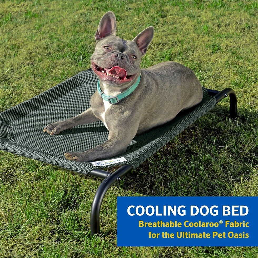 Miniature : the Original Cooling Elevated Dog Bed, Indoor and Outdoor, Medium, Gunmetal