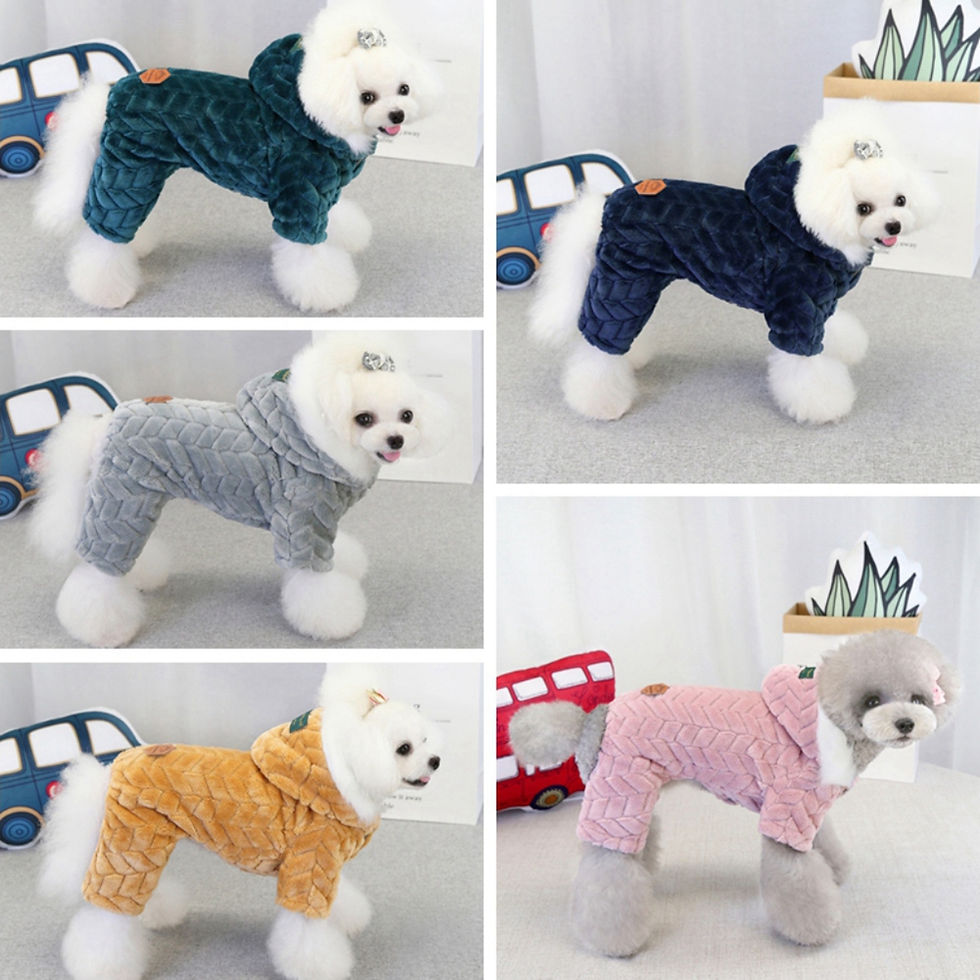 Miniature : Dog Winter Jacket Pet Clothes 