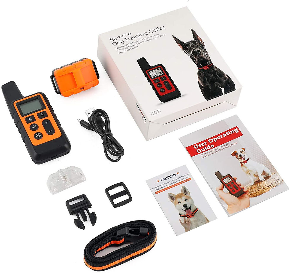 Miniature : Dog Training Collar