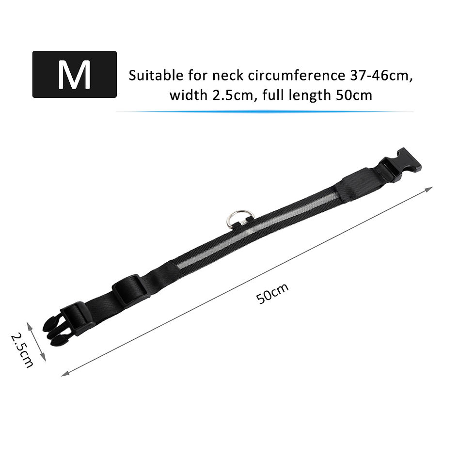 Miniature : Flashing Nylon Dog Collar 
