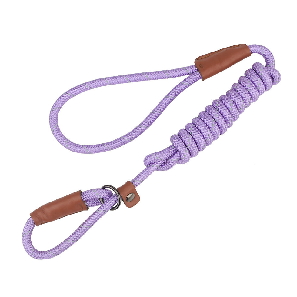 Miniature : P Shape Pet 