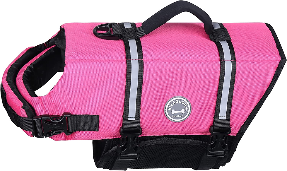 Miniature : Ripstop Dog Life Jacket for Small Medium Large Dogs Boating, Swimming Vest for D
