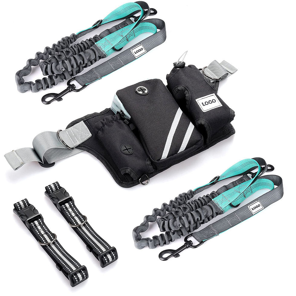 Miniature : Retractable Hands Free Dog 