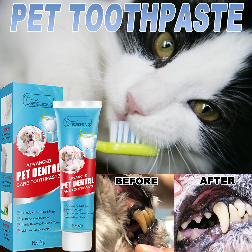 Miniature : 60g Pet Toothpaste Cat Dog