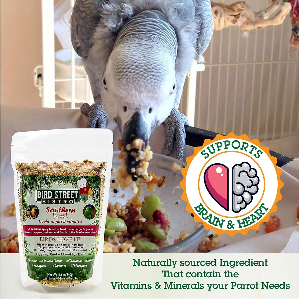 Miniature : Parrot Food Sample 4 Pack - Parakeet Food - Cockatiel Food - Bird Food - Cooks i