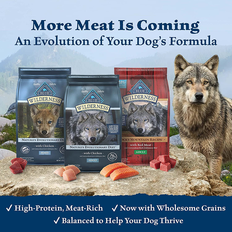 Miniature : Blue Buffalo Wilderness High Protein, Natural Adult Dry Dog Food, Duck 24-Lb