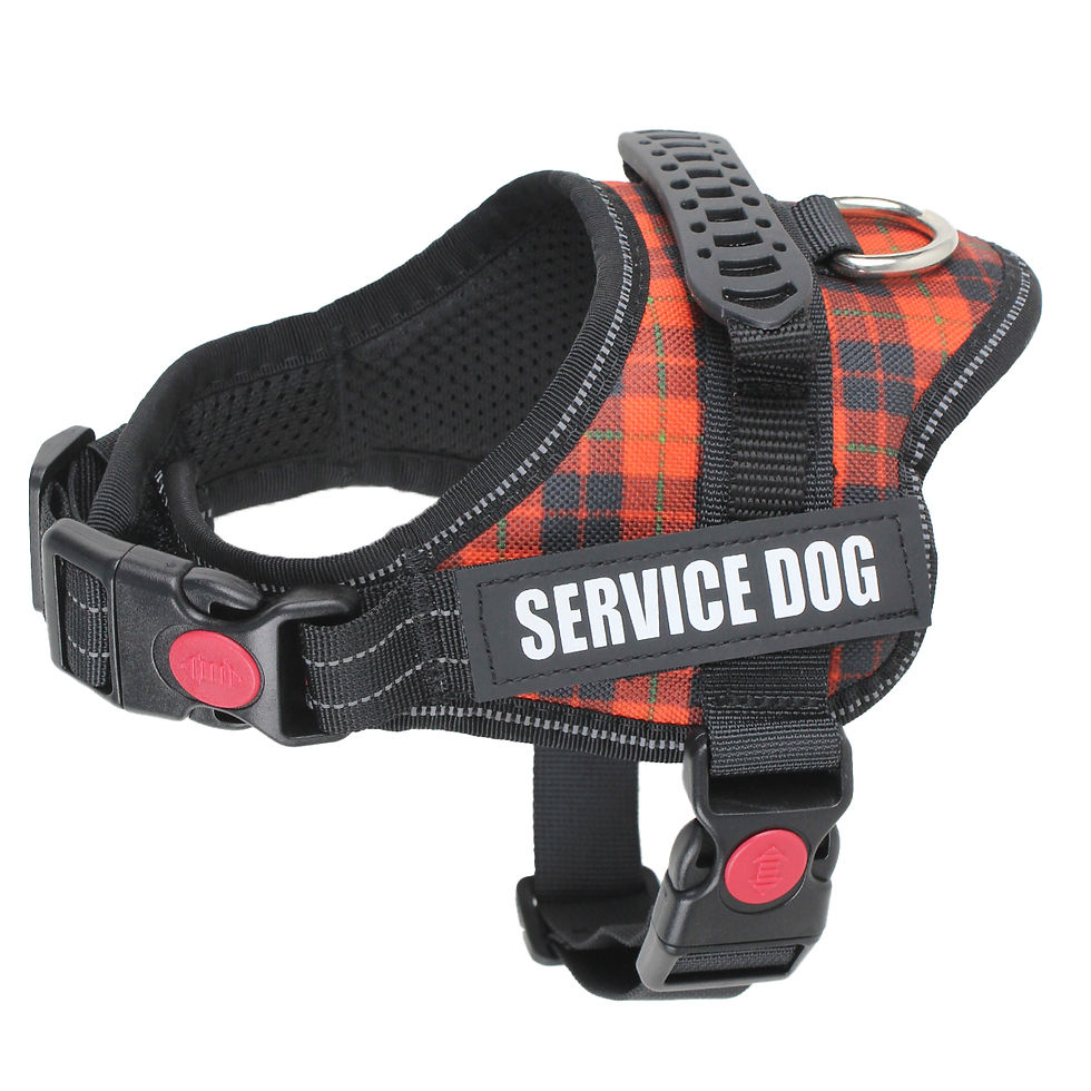 Miniature : Dogs Harness