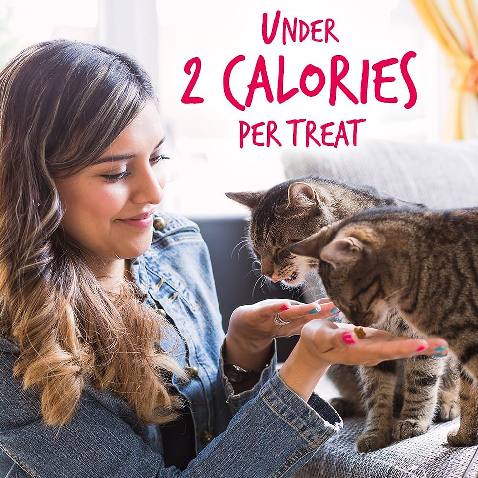 Miniature : Cat Crunchy Treats for Cats – Healthy Low Calorie Packed with Protein – Free of 