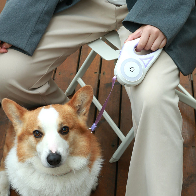Miniature : Streamer Led Lights Dog Leash Automatique 