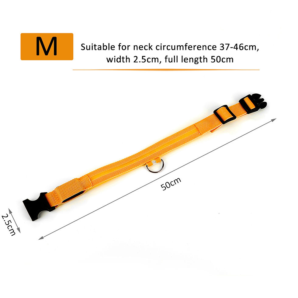 Miniature : Flashing Nylon Dog Collar 