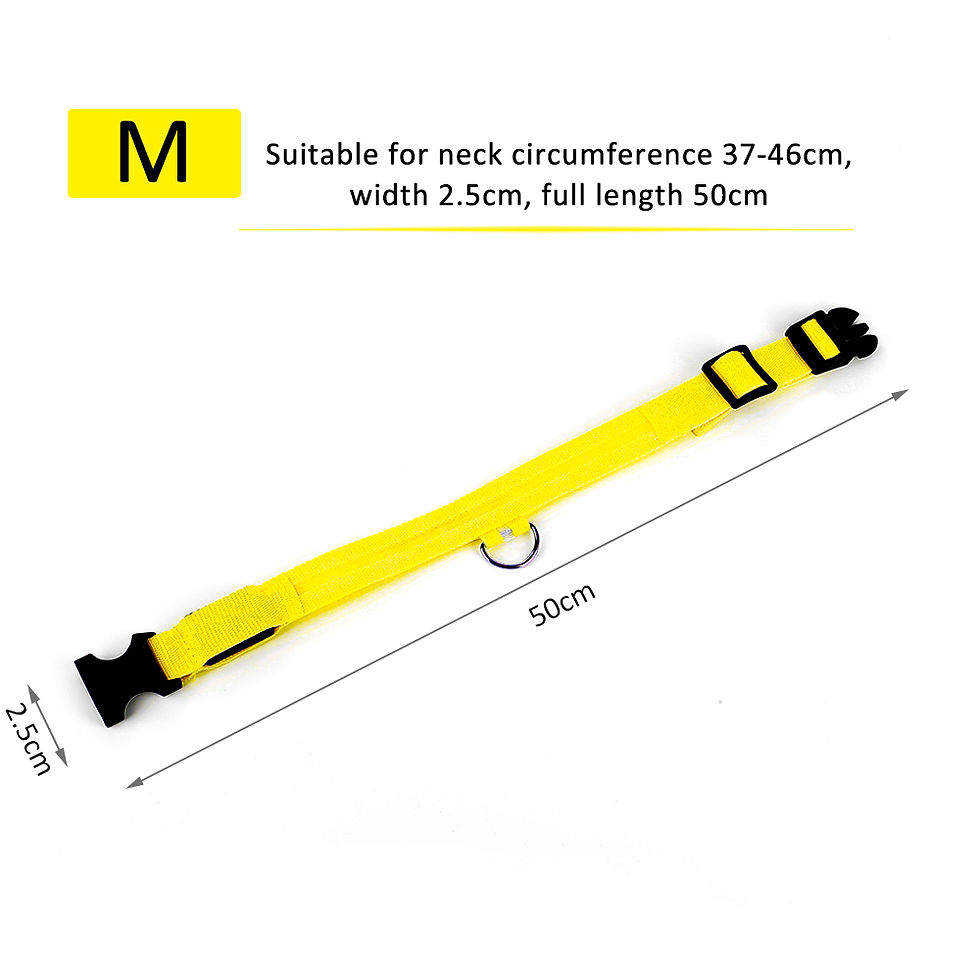 Miniature : Flashing Nylon Dog Collar 