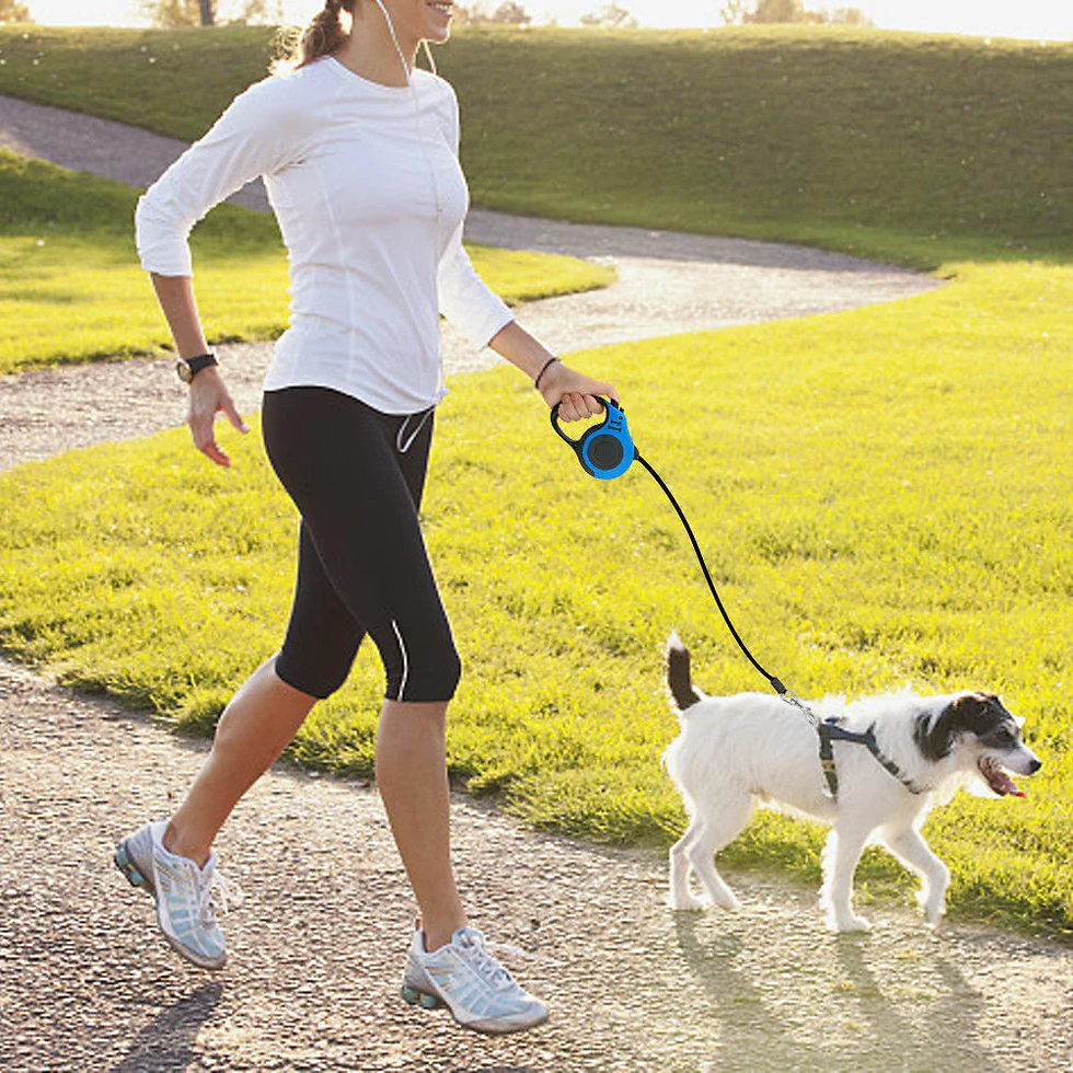Miniature : 16.5FT Automatic Retractable Dog Leash Pet Collar Automatic Walking Lead Free US