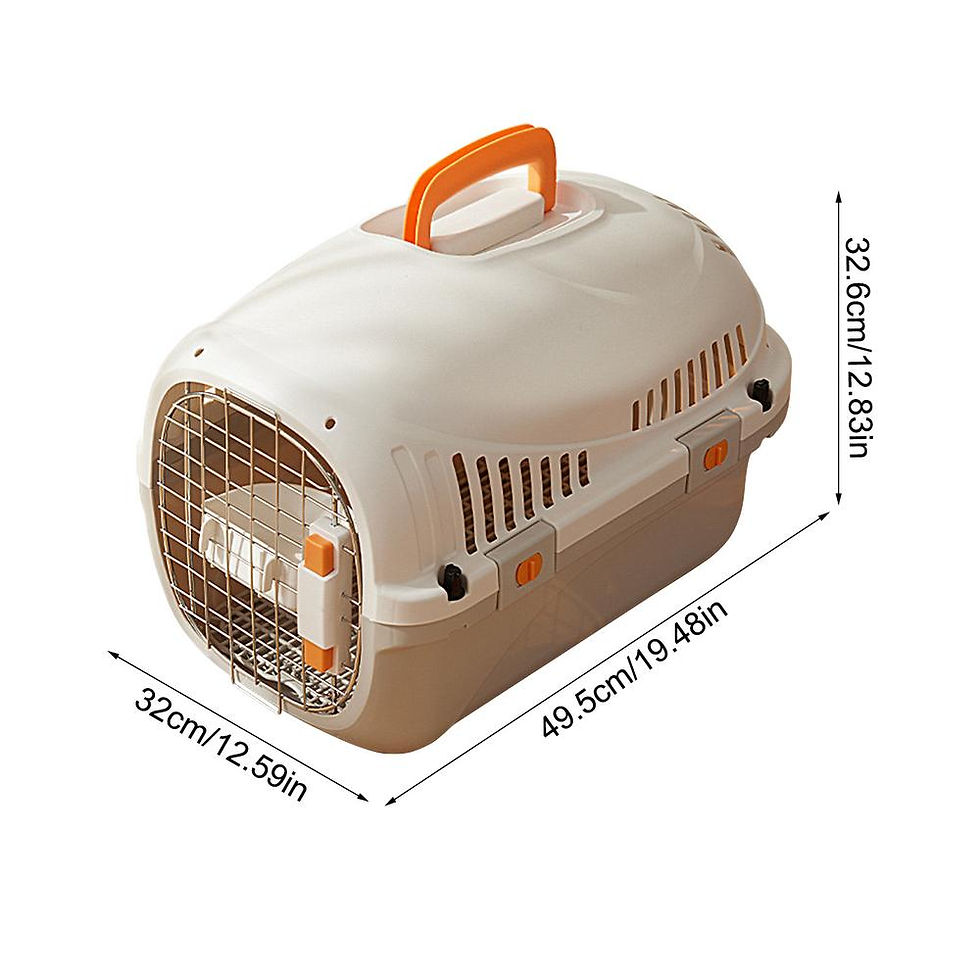 Miniature : Pet Air Transport Box