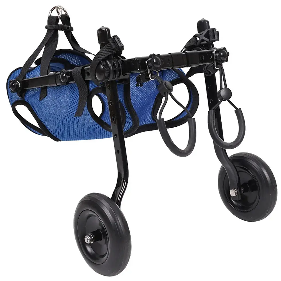 Miniature : Pet Walk Booster dog