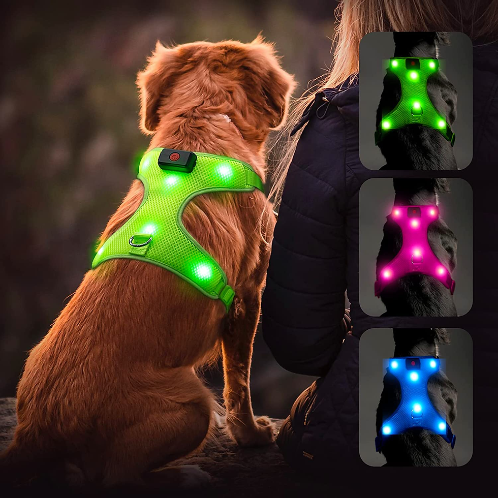 Miniature : LED Dog Harness, Lighted up USB Rechargeable Pet Harness, Illuminated Reflective