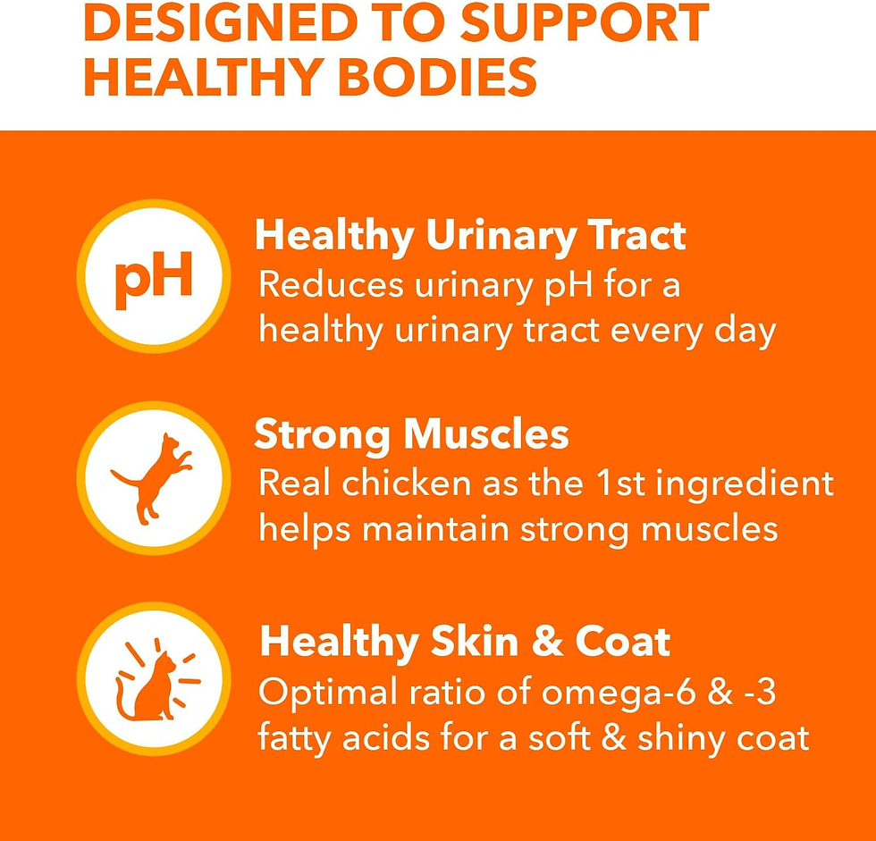 Miniature : PROACTIVE HEALTH Adult Urinary Tract Healthy Dry Cat Food with Chicken Cat Kibbl