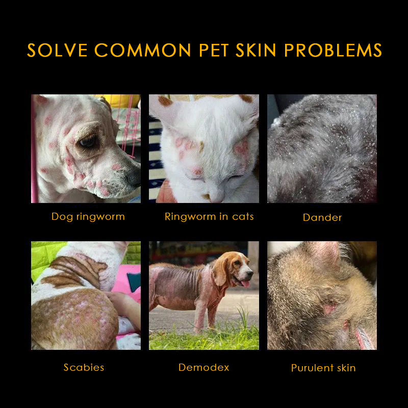 Miniature : Intertoe inflammation ointment for dogs intertoe inflammation ointment for cats