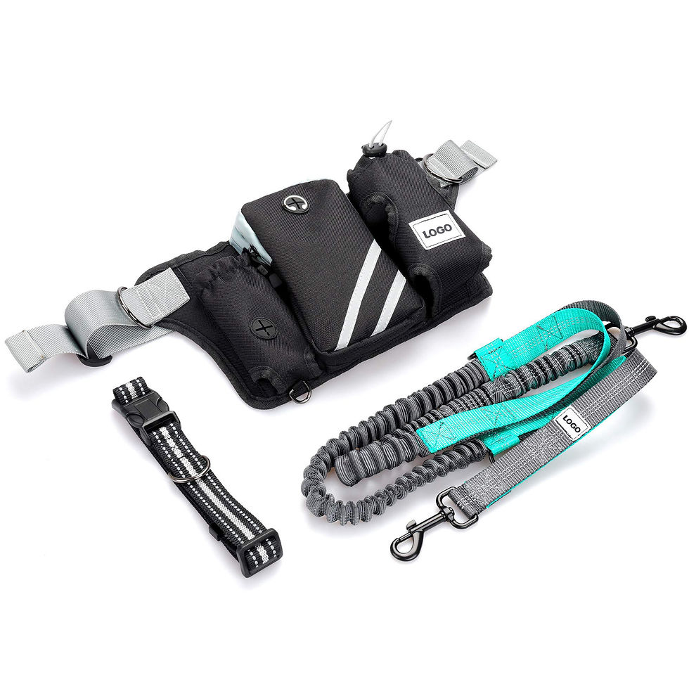 Miniature : Retractable Hands Free Dog 