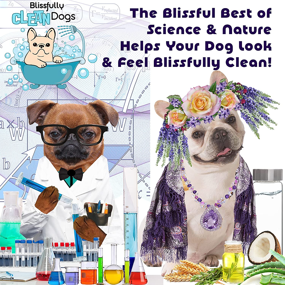 Miniature : Stinky Filthy Dog Shampoo, 16 Oz