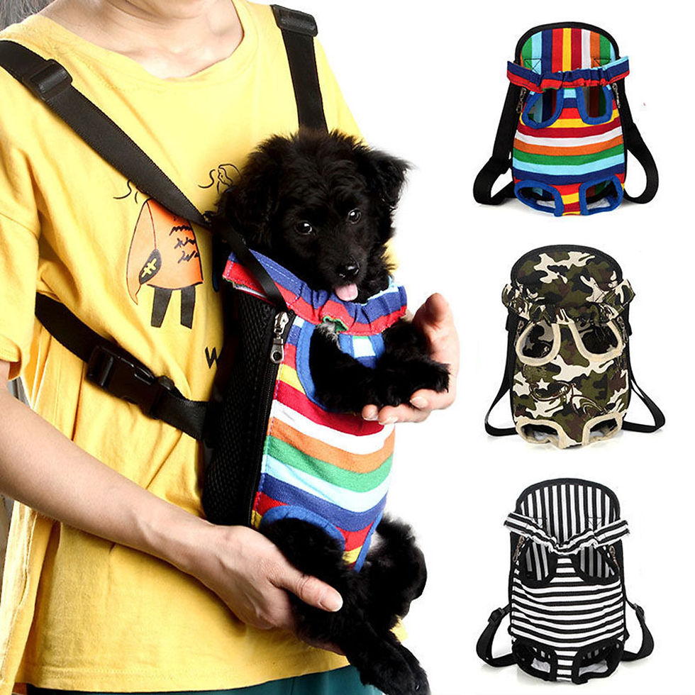 Miniature : Small Dog C