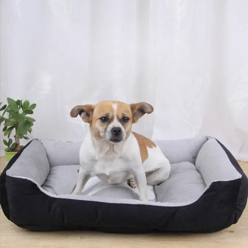 Miniature : Large Dog Warmth Dog 