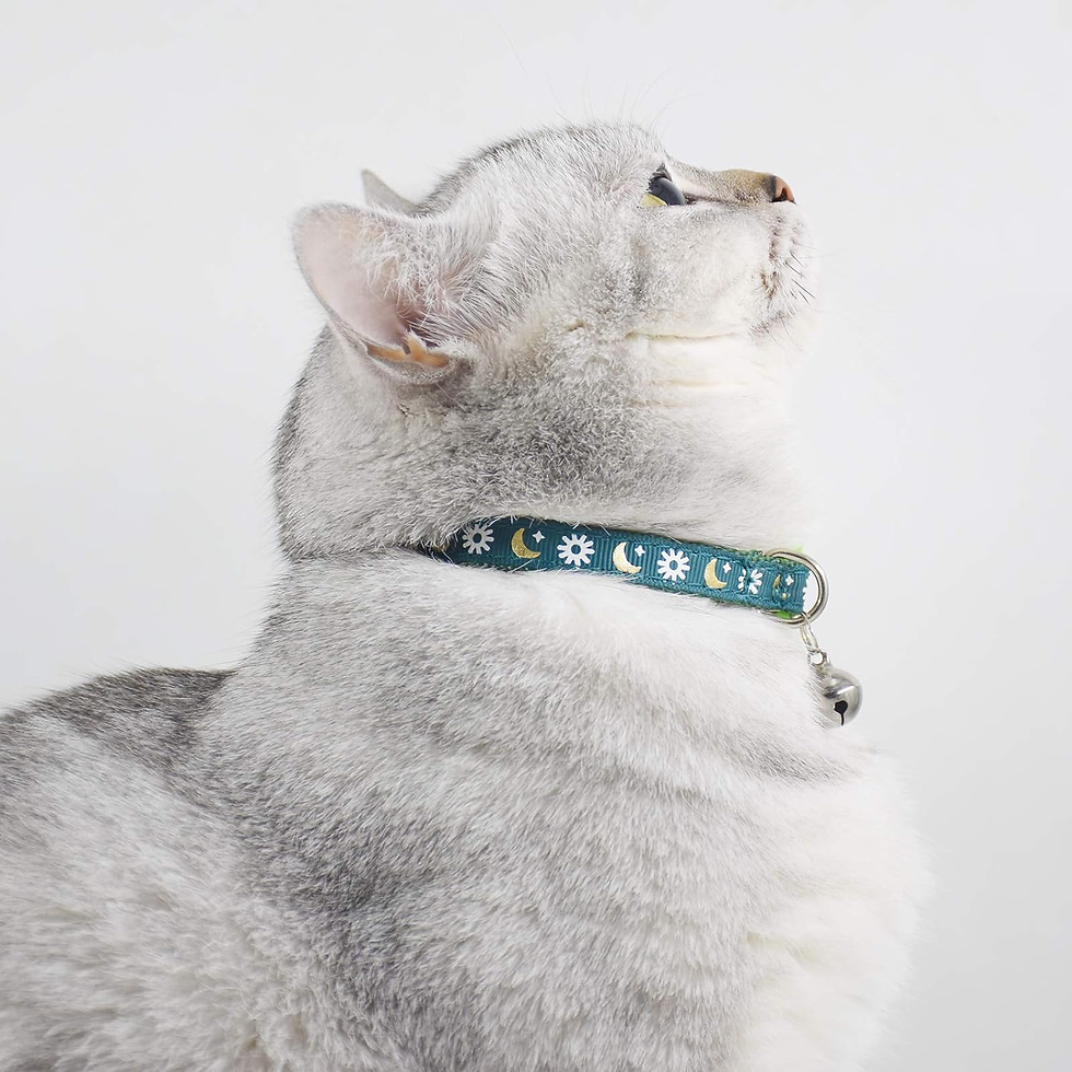 Miniature : 3 PCS Breakaway Cat Collar with Bell, Moon Cat Collar Adjustable Cute Kitten Col