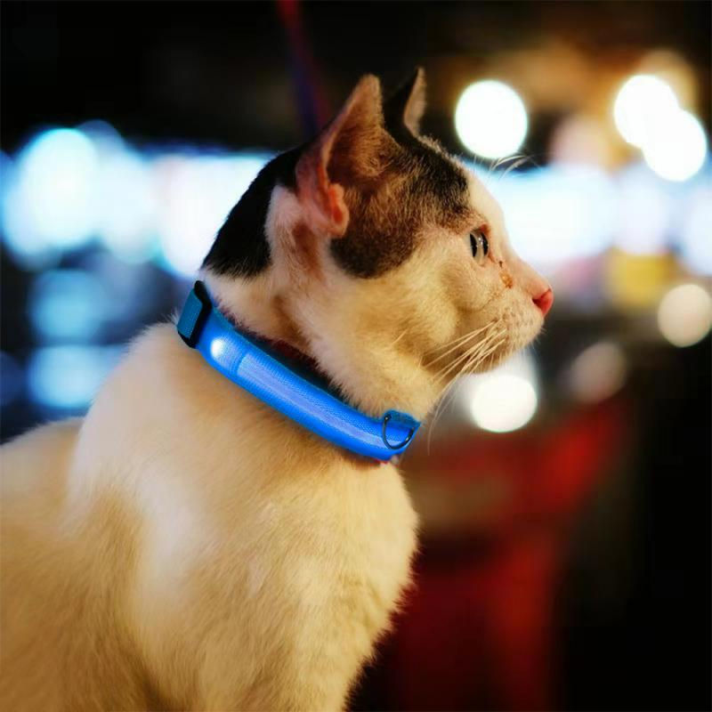 Miniature : Flashing Nylon Dog Collar 