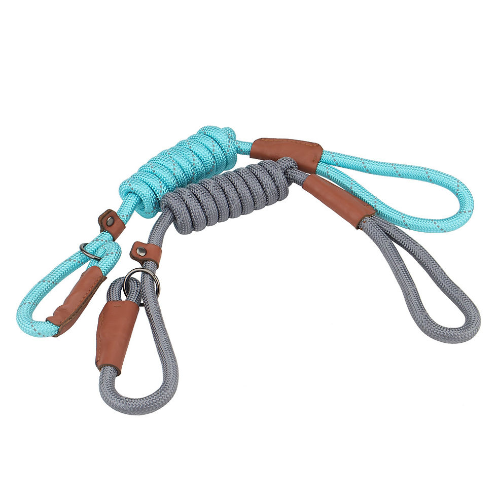 Miniature : P Shape Pet 