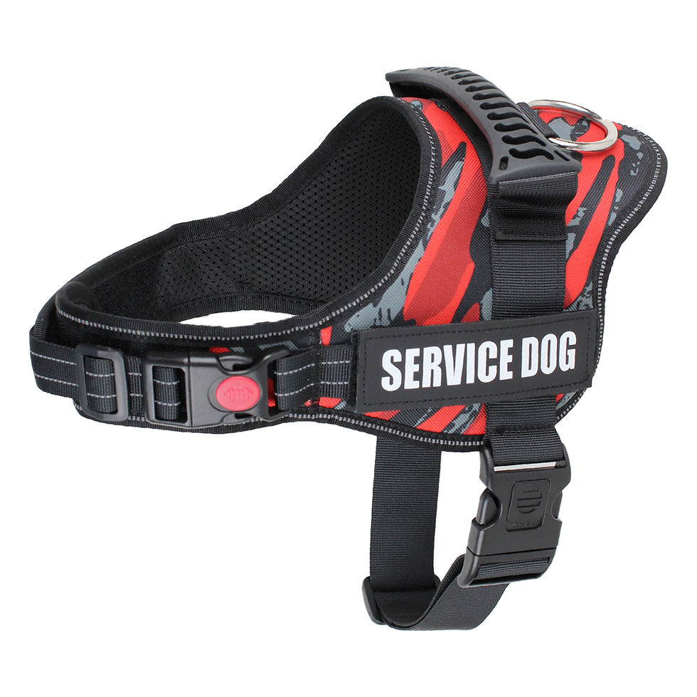 Miniature : Dogs Harness