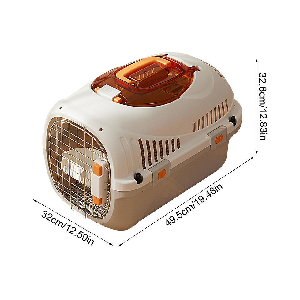 Miniature : Pet Air Transport Box