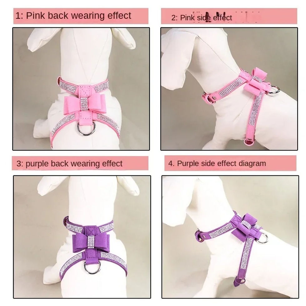 Miniature : Pet Chest Harness Rhinestone 