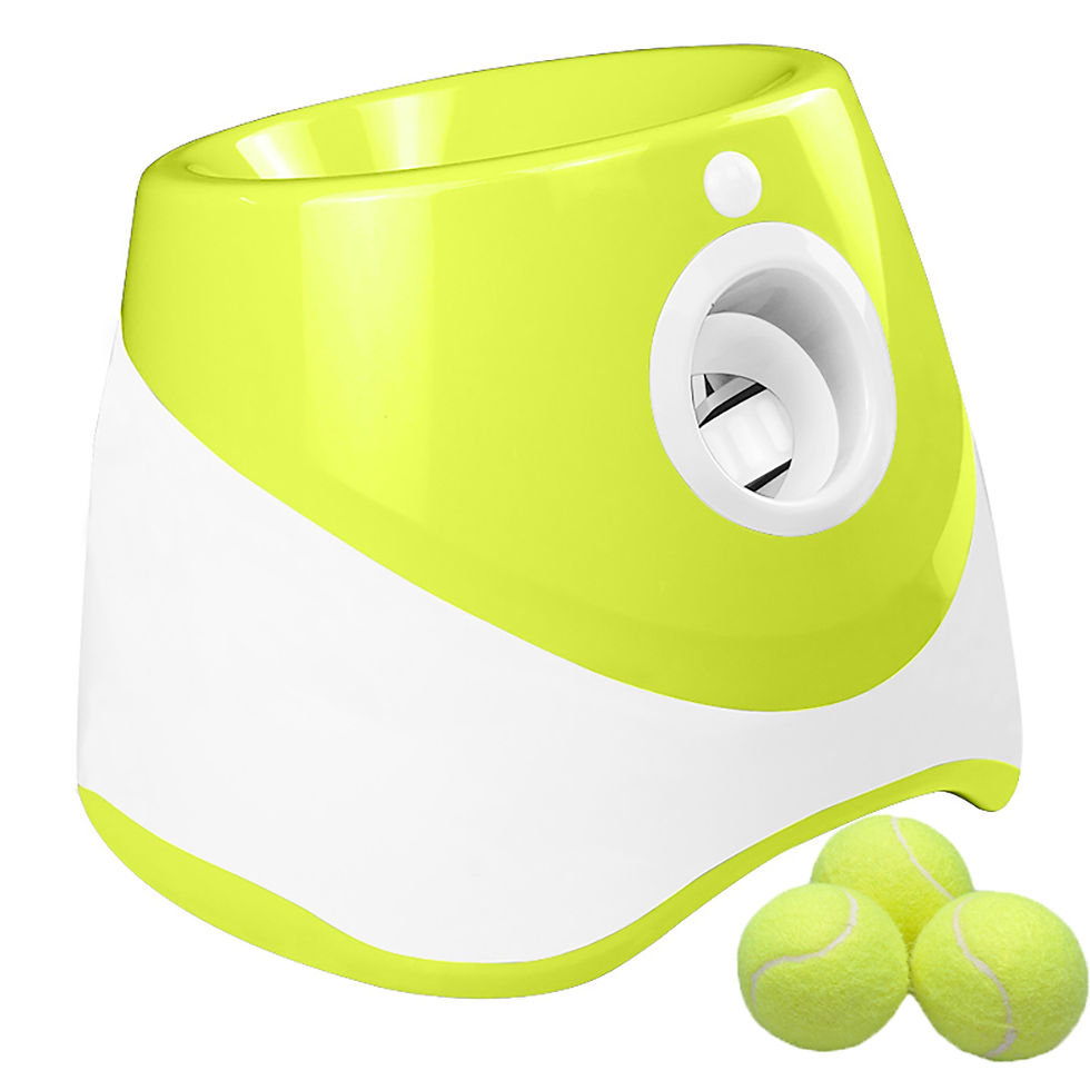 Miniature : Dog Automatic Ball Launcher Interactive Toy,