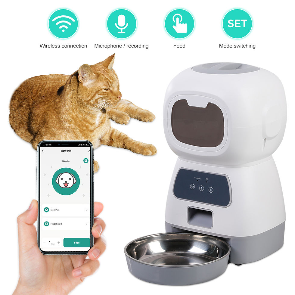 Miniature : 3.5L Automatic Pet Feeder Smart Food 