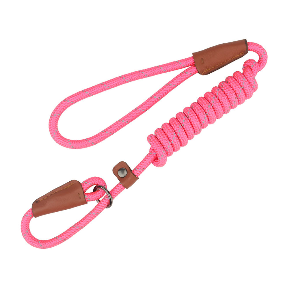 Miniature : P Shape Pet 