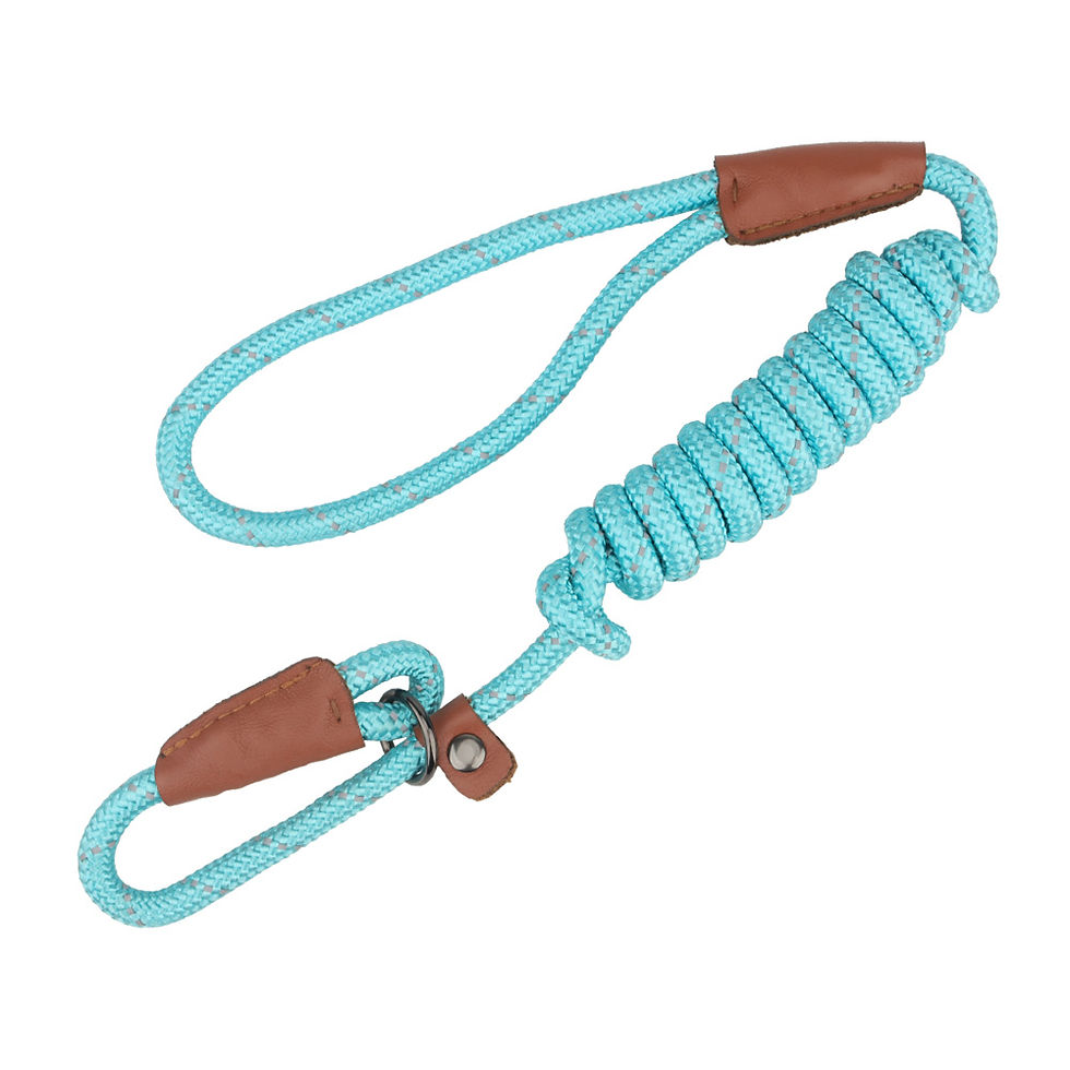 Miniature : P Shape Pet 