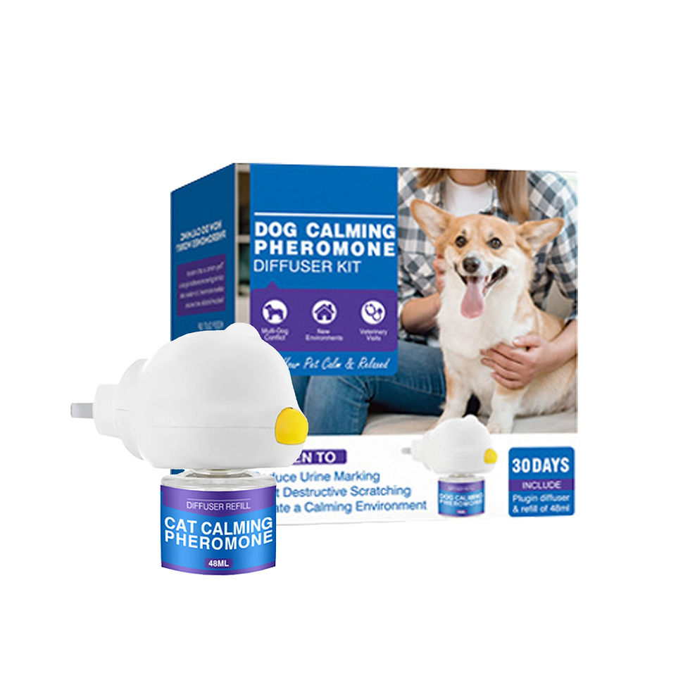 Miniature : 48/96ml Calming Diffuser Comfort Natural