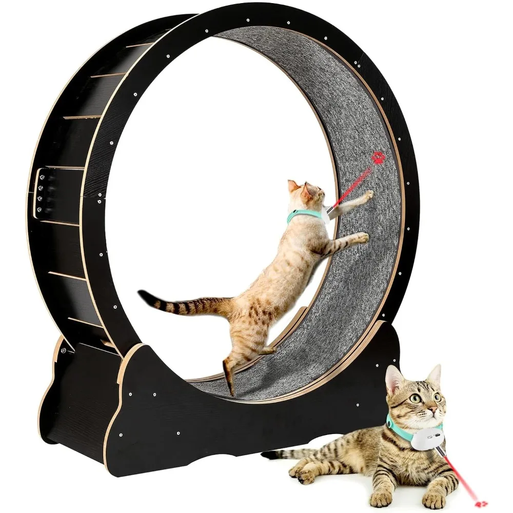 Cat Exercise Wheel for Indoor Cats Pets Easy Assembled Cat Treadmill Wheel with
